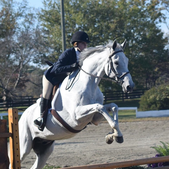 heca223